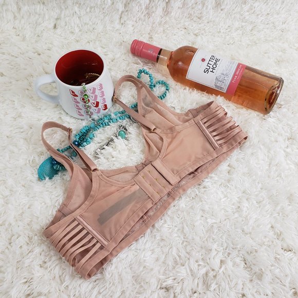 VS Sheer Lace Mesh Unlined Plunge Bra 38 DD NWT - Picture 3 of 4